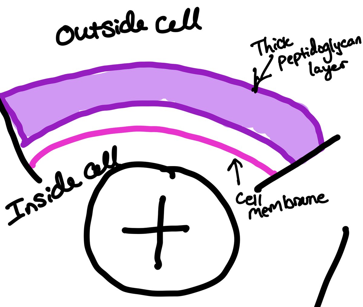 MicroB (@MicroBpodcast) / Posts / X