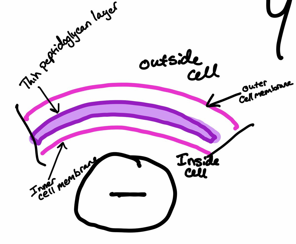 MicroB (@MicroBpodcast) / Posts / X