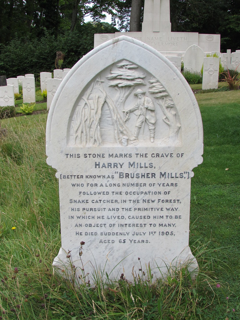 bindonlane's tweet photo. #SnakesAndLizards #AnimalsInChurches The grave marker of Harry Mills, a New Forest snake catcher, in the churchyard at Brockenhurst (Hampshire) https://t.co/tCSZxaAWI8