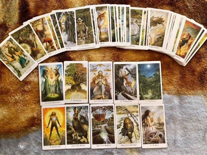 Tarot of the secret forest галерея. колода таро леса. таро wildwood tarot. колода таро леса. колода wildwood tarot.
