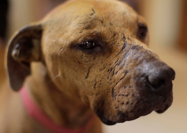 True Crime & Wine Time tweet media