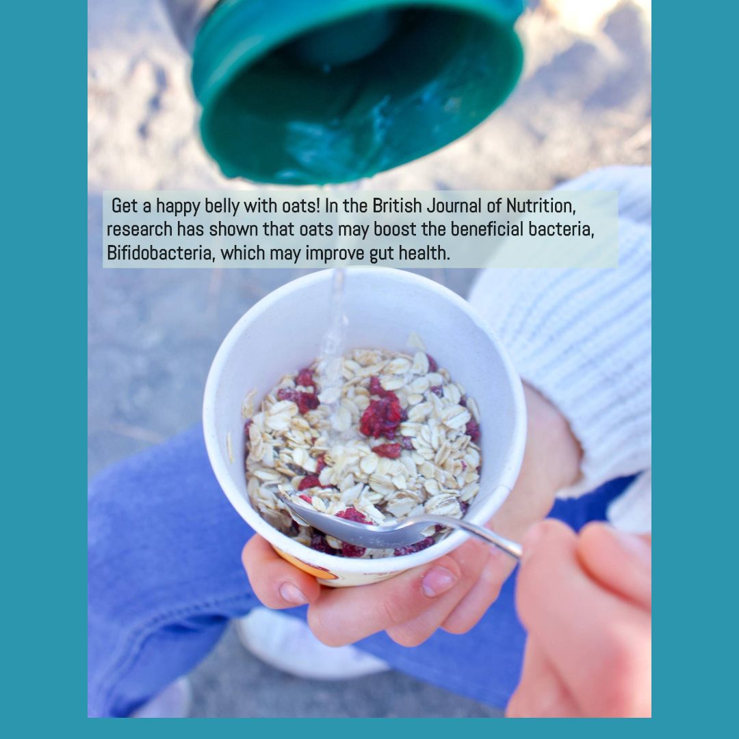 Strawpropeller's tweet photo. Did you know that oats can help with gut health?
#NationalOatmealMonth #GlutenFree #StrawPropeller #PlantBased #PlantProtein #Oatmeal #Vegan #GutHealth #GrabnGo #Simple #Artisanal #OrganicBreakfast  #AncientCereal #Kosher #Organic #NonGMO https://t.co/wRN1RGQrv9