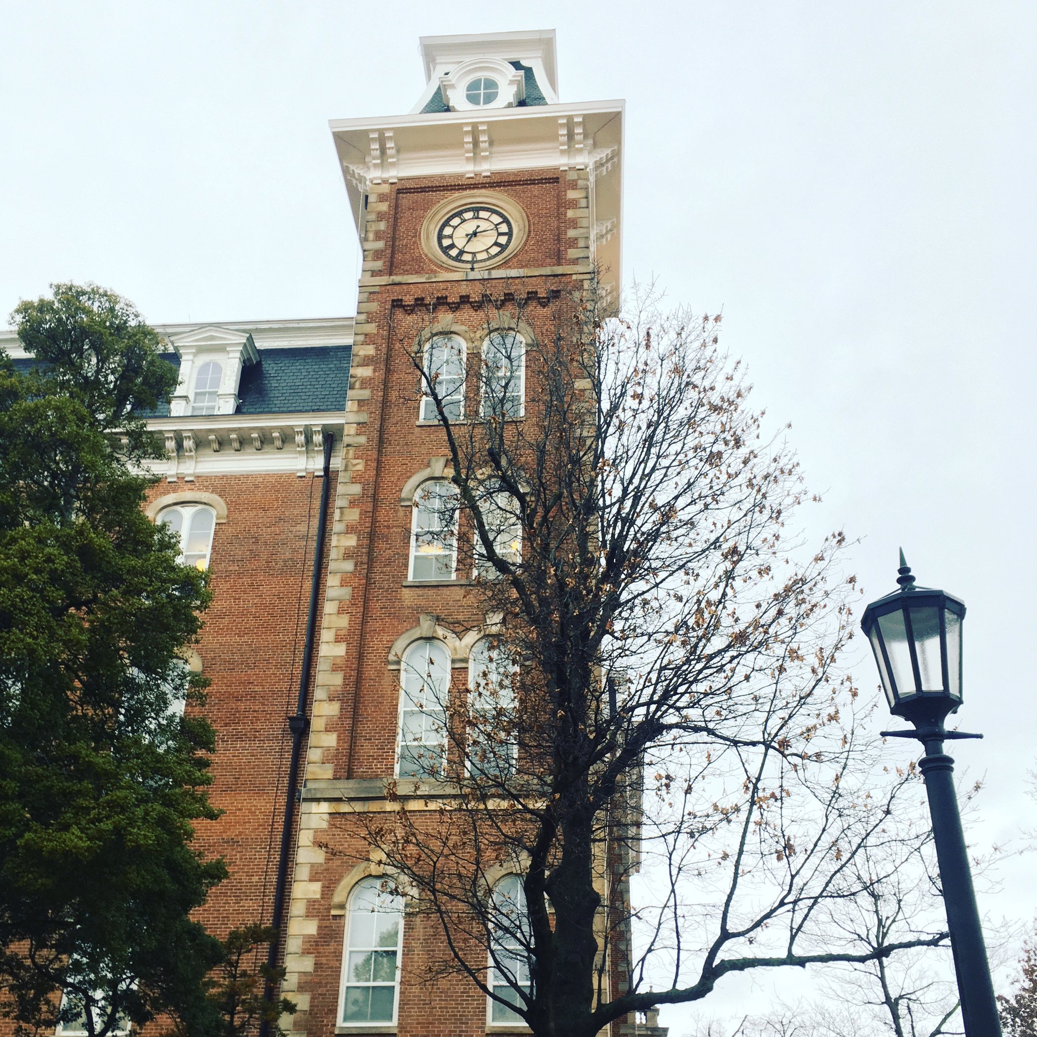 UARK Int'l Admission on Twitter "Winter is 💯 confirmed. 🥶 uark 