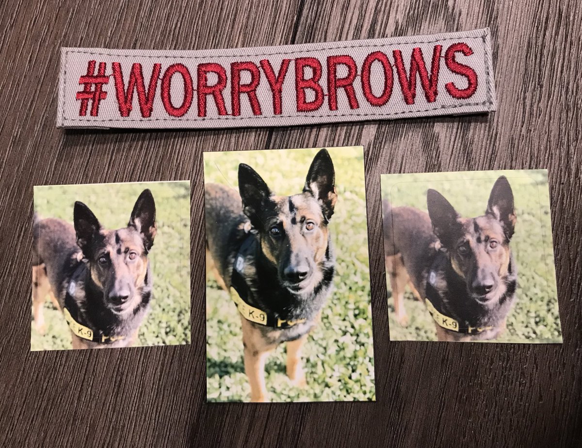 Love4PoliceDogs's tweet image. #WORRYBROWS #giveaway for all the Texas K9 Evo lovers!
Pawtographed photo, #worrybrows patch, Evo magnet/stickers!

 To enter follow @K9__Evo, @tkeleiott, @k9sofvalor, &amp;amp; RT

2 get extra entries &amp;amp; help K9s do so here: k9sofvalor.org (DM receipt to me to qualify) #livepd