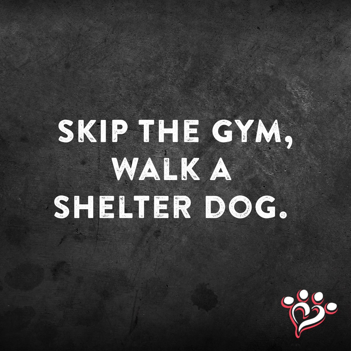 MuttNation's tweet photo. Get your steps in AND help a mutt get adopted? Sounds like a win-win! 🐾Sign our pledge to volunteer for a chance to win a meet &amp; greet with @MirandaLambert and a $1,000 grant for your local shelter! https://t.co/mAZvQOoz7n https://t.co/FHQRoJb1Gk