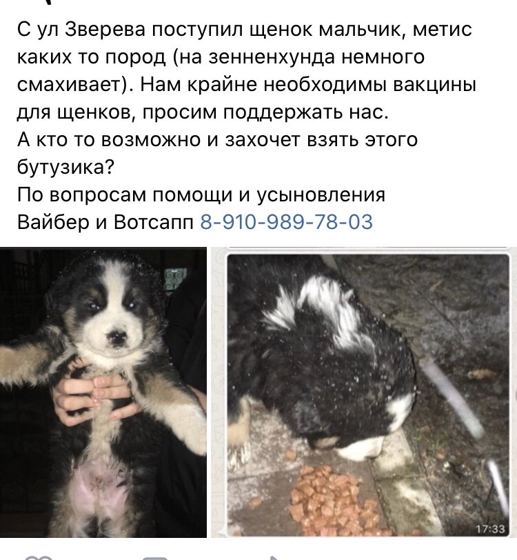 ivpriyut (@ivpriyut) on Twitter photo 