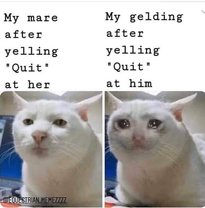 They do be sensitive, though