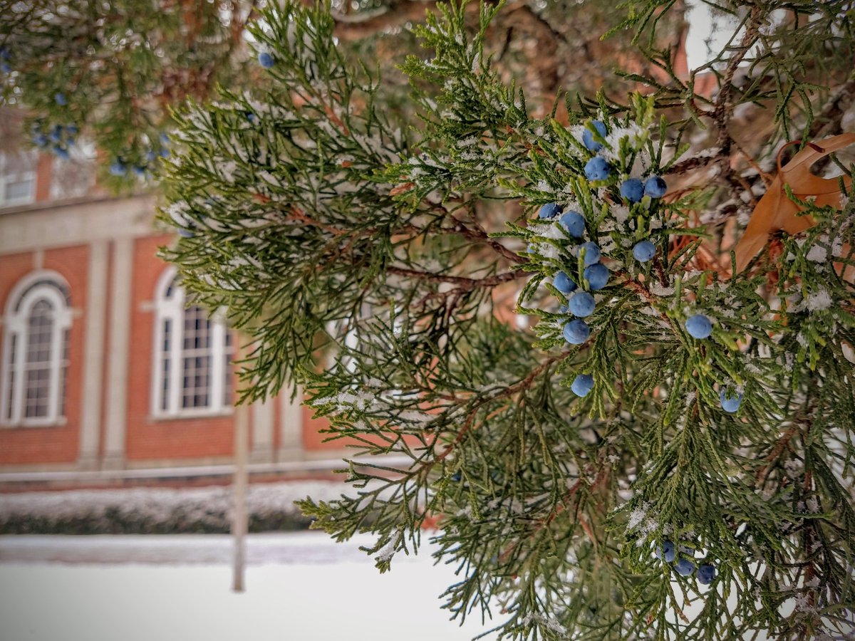 Truman Photos (@trumanphotos) on Twitter photo 