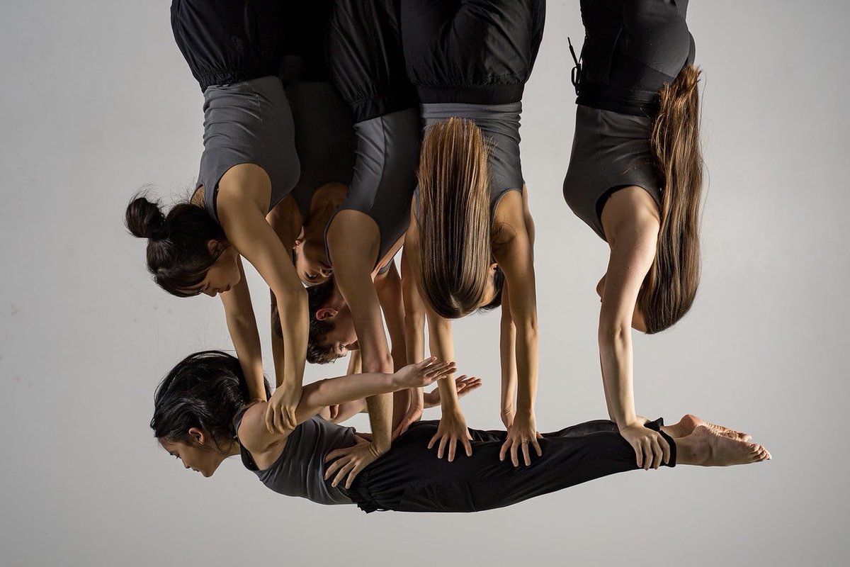 doredanceco's tweet photo. We are flying into 2020 guys!! Whose ready!! Ek! Shows are February 28th and 29th 7:30 PM! At @yawtheater 👏🏼 get your tickets!! LINK IN MY BIO 💕 https://t.co/bPwz36caVK
