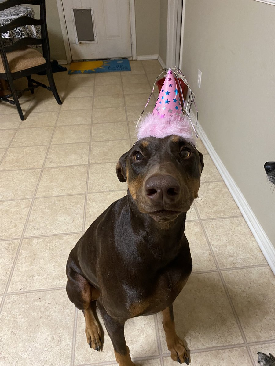 Pamela Isley🥀 tweet media