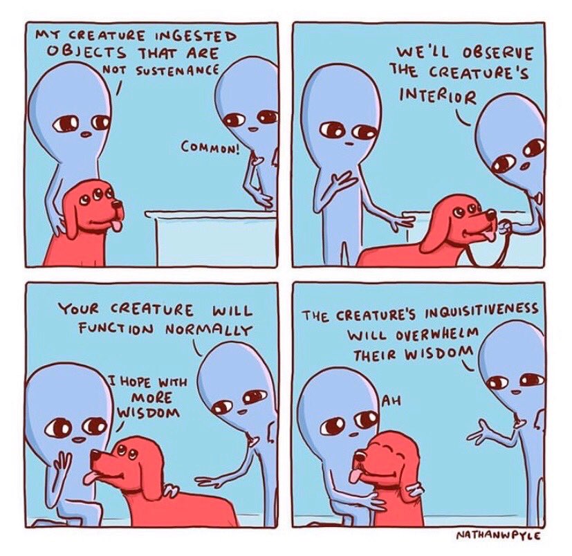 Funny cause it’s true #dogs #emily ⁦<a href="/nathanwpyle/">Nathan W Pyle</a>⁩