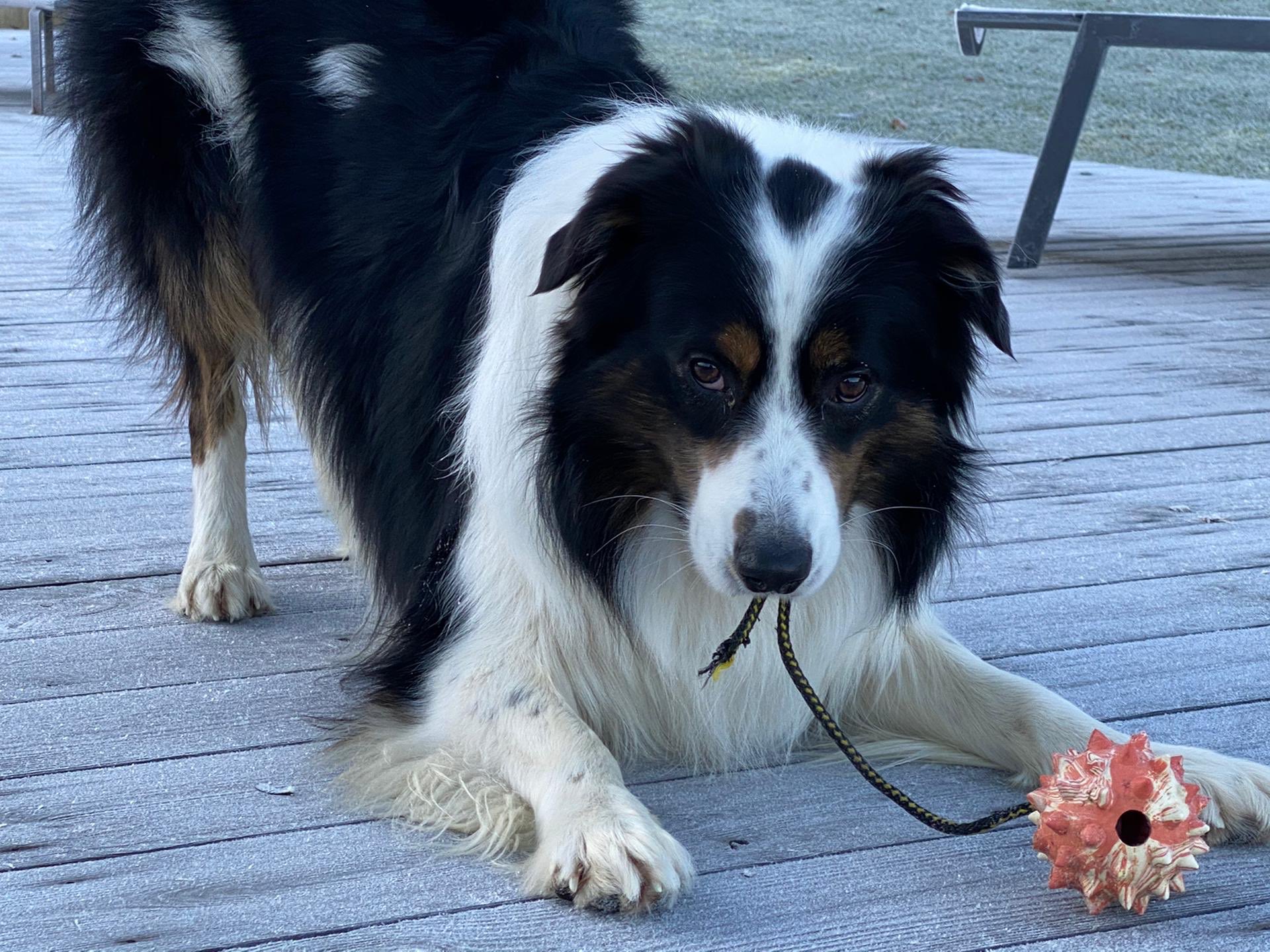 jenny joseph on Twitter