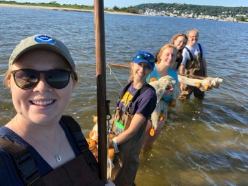 College students form a line in the water to spread out net for fish sampling.