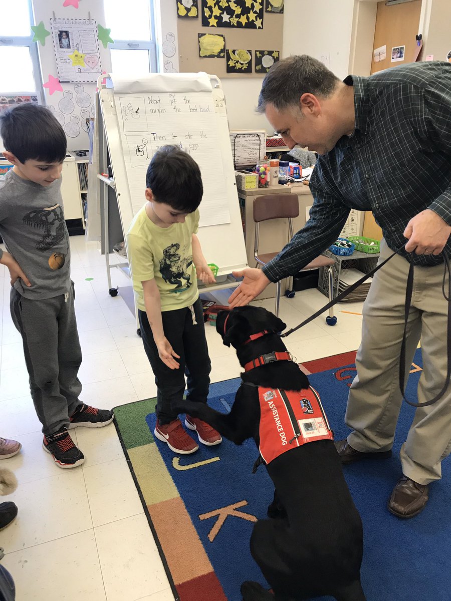 beccahd16's tweet photo. A visit from Tinker the Assistance dog is always a treat!@RoosMelrose @PrincMaranto https://t.co/6YihYfne8o