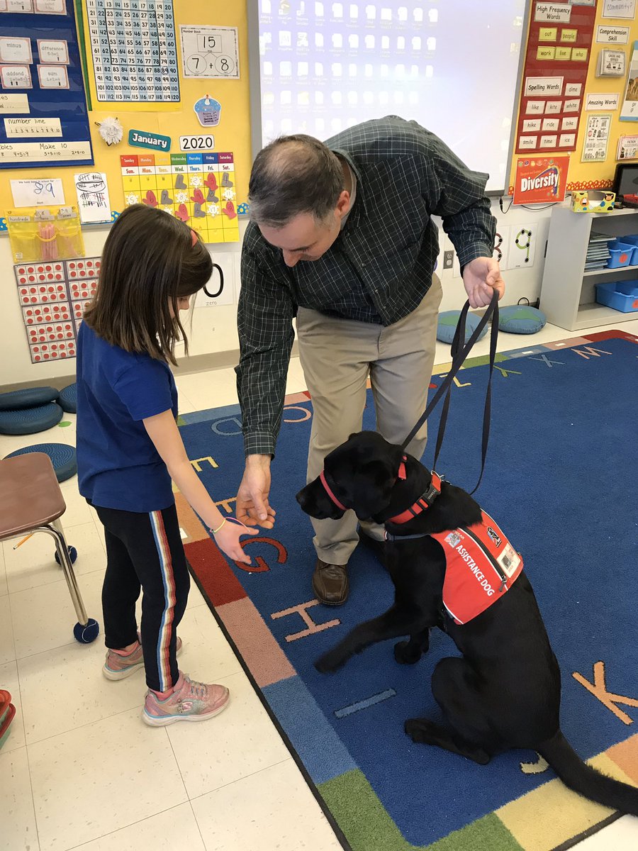 beccahd16's tweet photo. A visit from Tinker the Assistance dog is always a treat!@RoosMelrose @PrincMaranto https://t.co/6YihYfne8o
