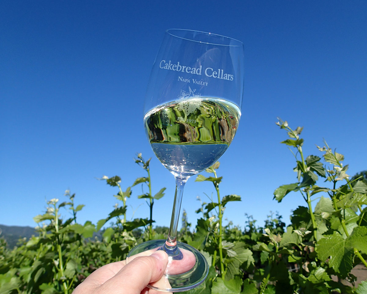 thegroveclub's tweet photo. The Wine Club is one of our most popular #GroveLiving clubs. Members, be sure to r.s.v.p. for the January 23rd tasting of wines from Napa Valley’s Cakebread Cellars! #GroveLiving #MemberEvents #DreamworthyLiving https://t.co/47u0cwKDCD