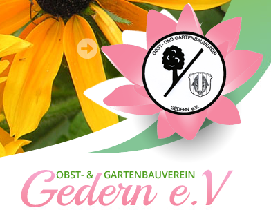 Kraeuterschule's tweet photo. #Vortrag über #Heilkräuter. Obst- und #Gartenbauverein #Gedern. #Veranstaltung. #Kräutervortrag #Kräuterfrau #Heilpflanzen #Phytotherapie #Gartenkräuter

Am 03. Februar 2020. Beginn ist um 19.30 Uhr im Gasthaus "Zum Löwen". Der Eintritt ist frei.

https://t.co/ypW48SNBqM https://t.co/Gn4qQgFAig