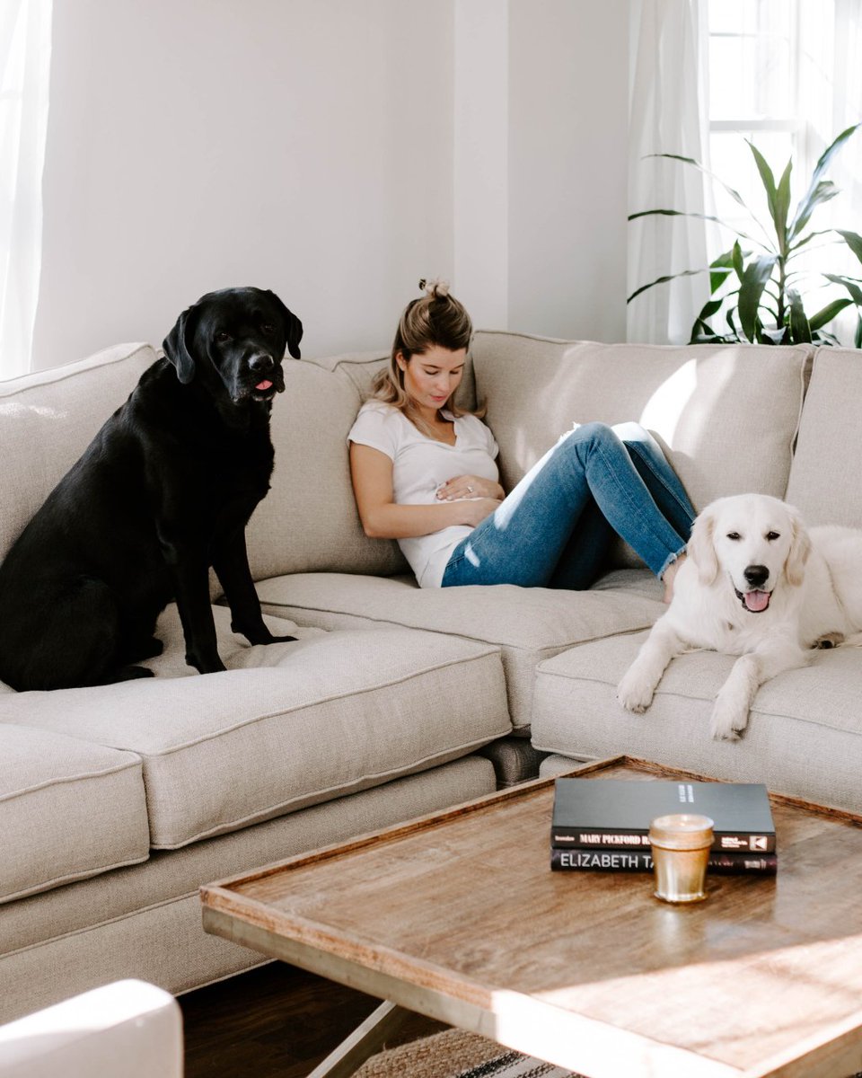 PrepofBoston's tweet image. Operation: Cozy Living Room prepofboston.wordpress.com/2020/01/22/ope…