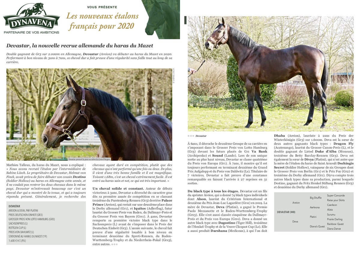 haras_du_mazet's tweet photo. #Devastar @haras_du_mazet https://t.co/1H3dHPzCx0