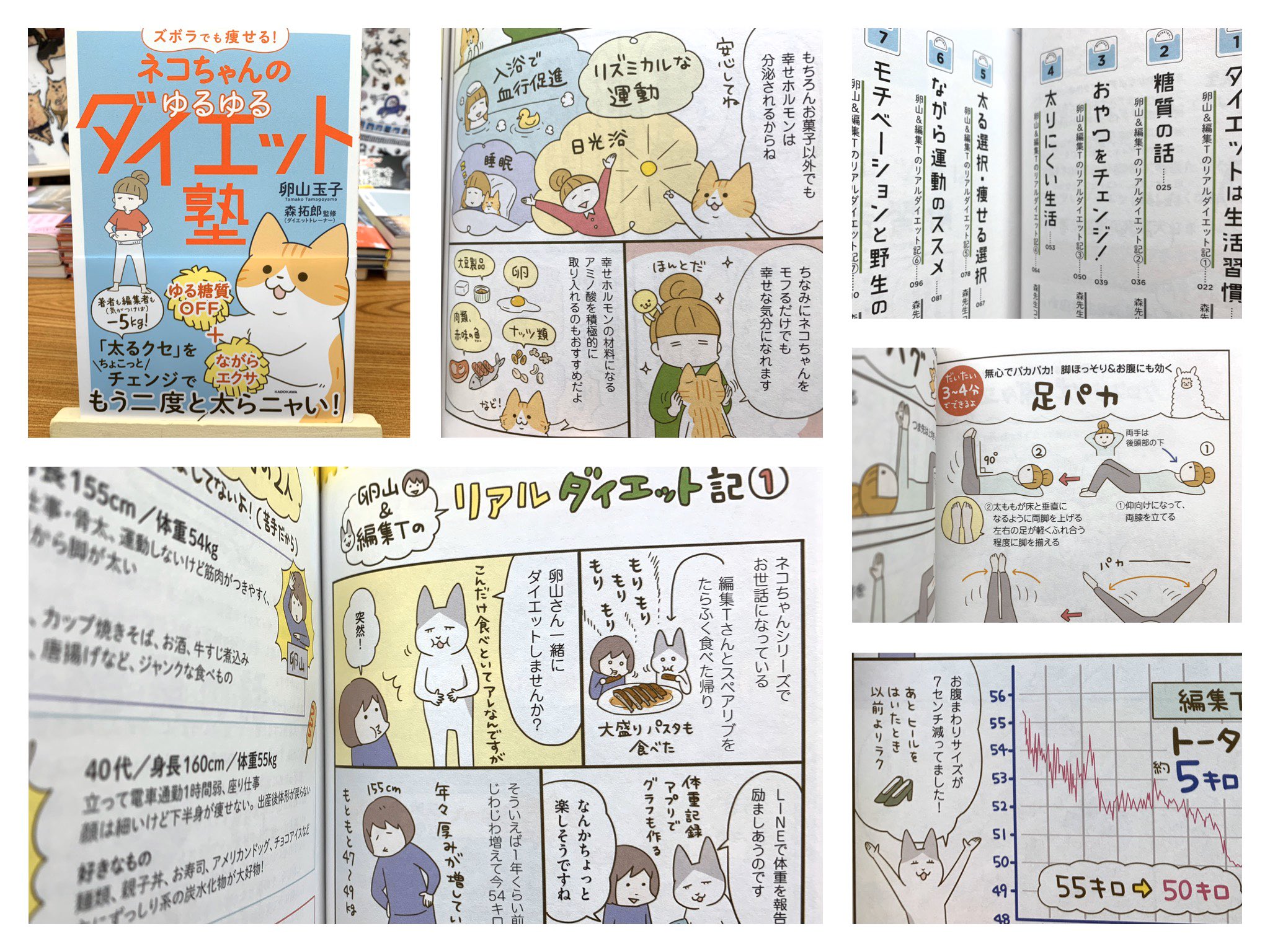 ট ইট র 猫本専門 神保町にゃんこ堂 姉川書店 ねこちゃんは応援係 ヒト用ダイエット本 ネコちゃんのゆるゆるダイエット塾 ズボラさんもok ユルっと出来る範囲で日常に取り入れていき 生活改善にも繋がる ダイエット本 著者 編集者による