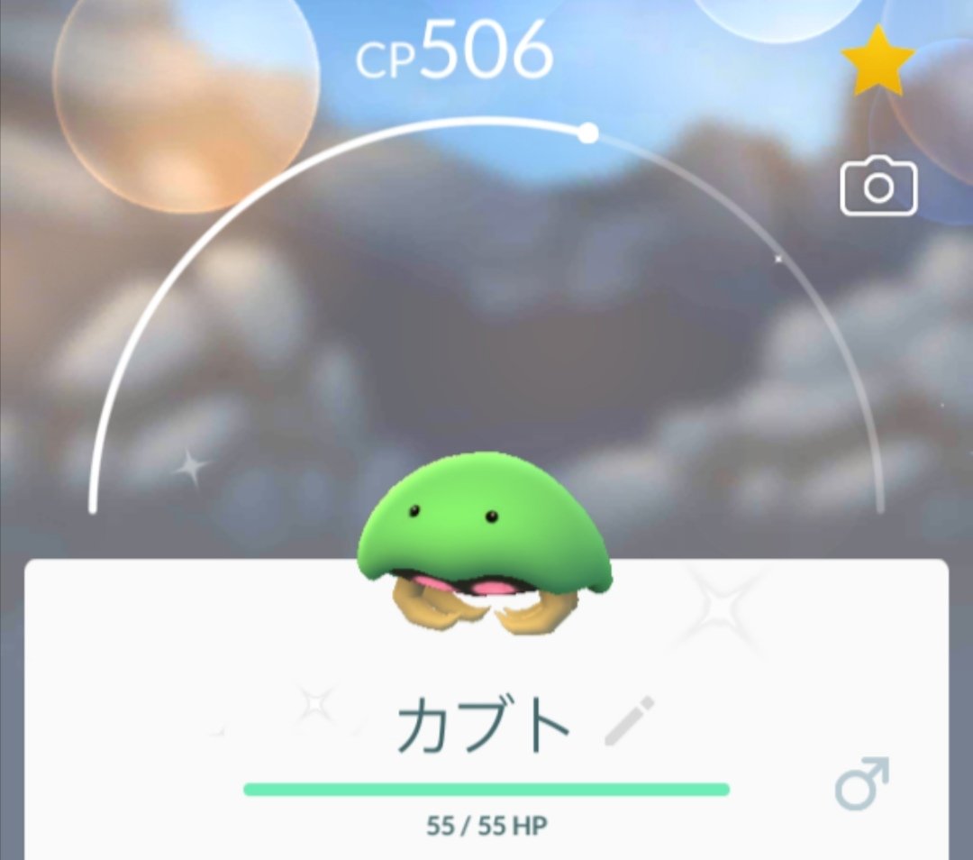 カブト色違い カブト色違い