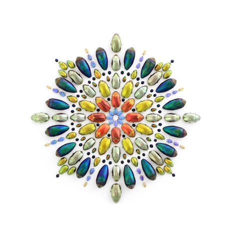 世界一うつくしい昆虫図鑑 アーティスト、クリストファー・マーレー