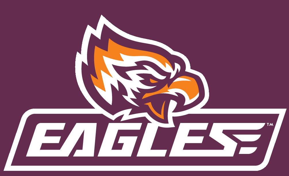 gracemglasrud's tweet photo. I am excited to announce my commitment to play division 1 hockey at Post University and continue my education! A huge thank you to my friends, teammates, all of my coaches, and family, especially my parents for their help in getting me here and always supporting me #goeagles 🧡💜 https://t.co/LDqg5l5nDd