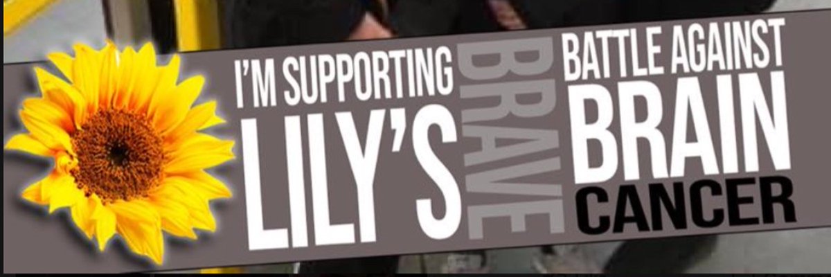 fencingonsea's tweet photo. Please join The One pound Warriors and support Lily`s battle against brain Cancer - https://t.co/5h7uFYLS1z #helplily #onepoundwarriors https://t.co/w6dEI3ik6J