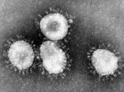 Coronavirus en Veracruz