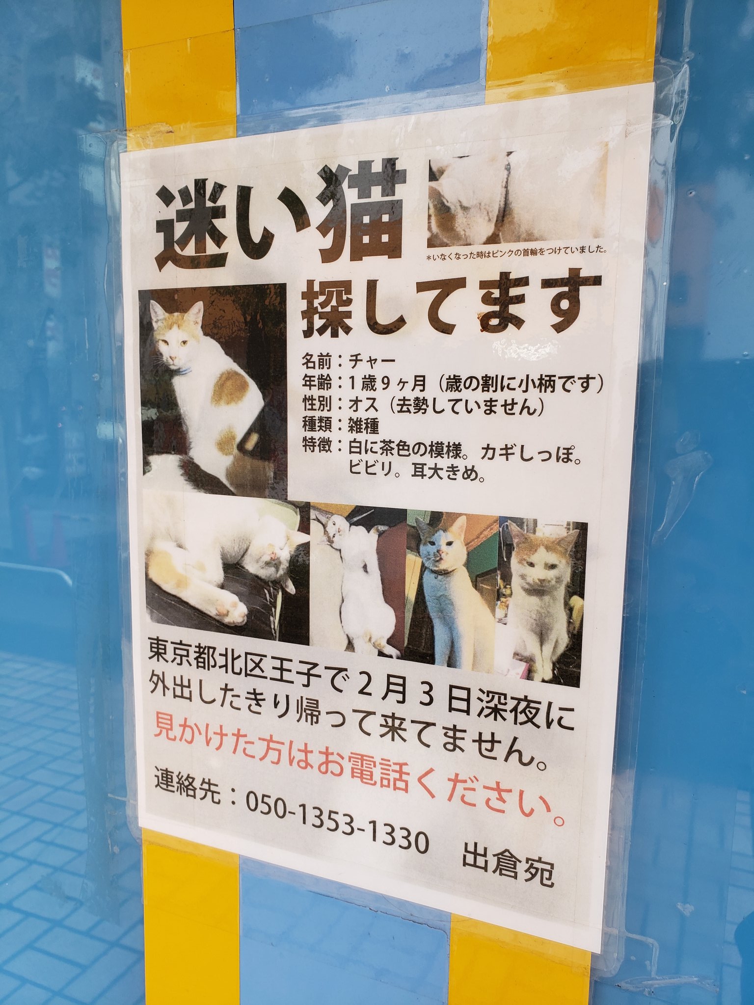 うろん チャー T Co Qpdgzzbdkh Twitter