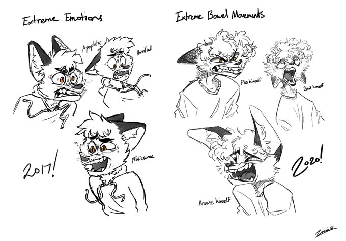 revised me expressos 