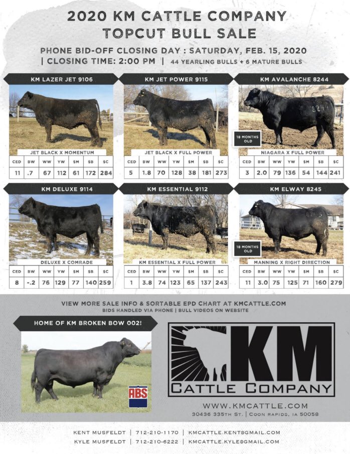 KM Cattle Company tweet media