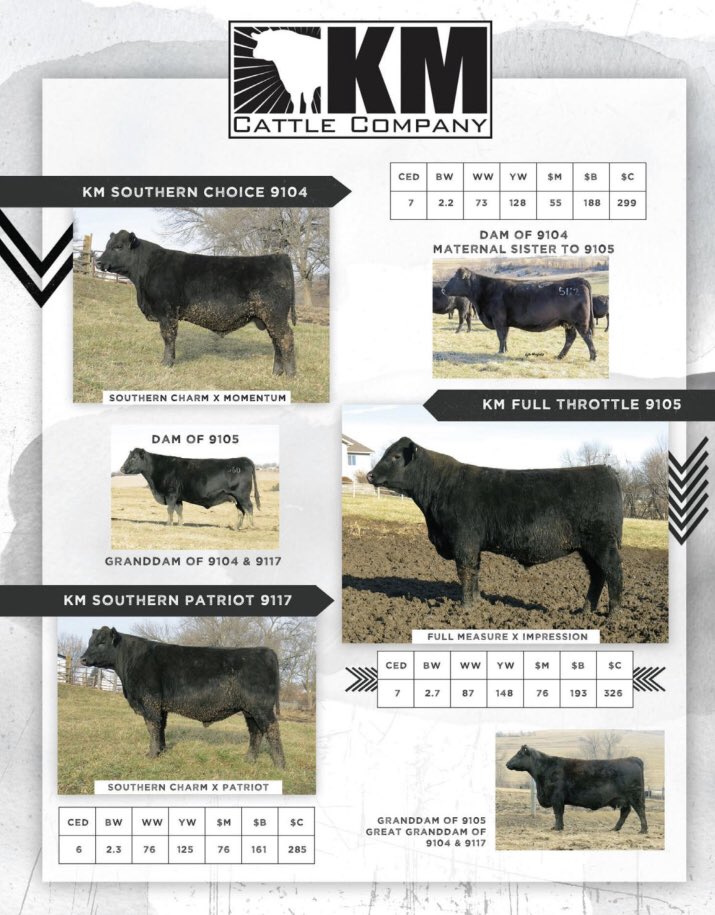 KM Cattle Company tweet media