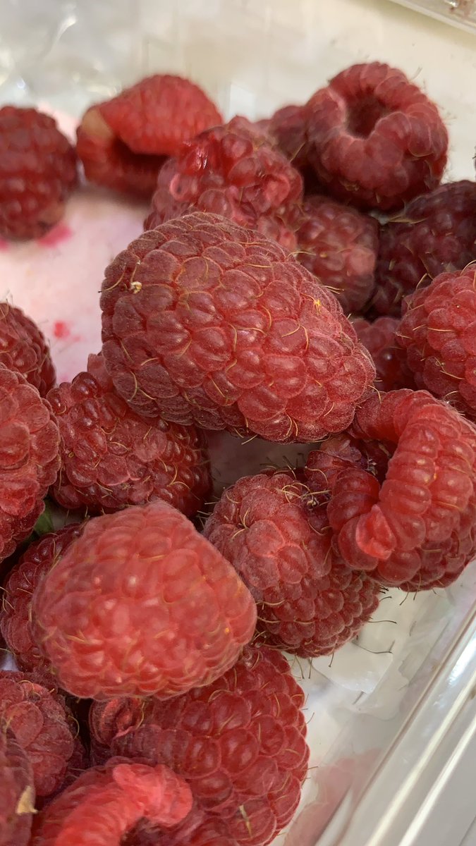 RN_Life's tweet image. Now tell me you don’t think raspberries look like old man testicles, complete with little hairs. 😳 #RNlife #raspberries #balls