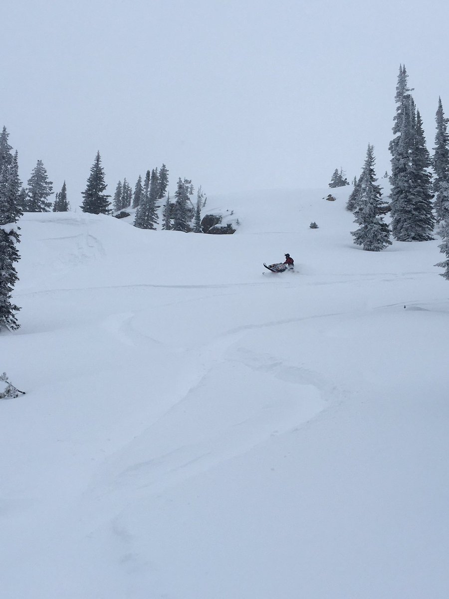 lindamanj5's tweet photo. This was a fun side hill in some deep pow! https://t.co/8wXA26VOsE