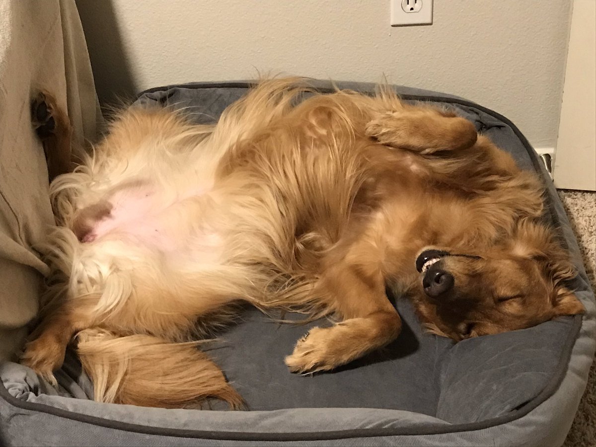 BaileyBlakley's tweet photo. I promise I’m ok. 💤 https://t.co/5BhDQd3oUg