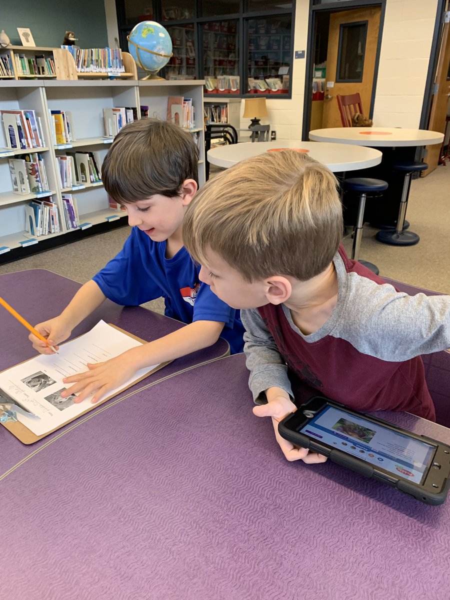 pitnerbookworm's tweet photo. First graders discover the similarities and differences between two marsupials, as they begin their research project. https://t.co/NZ3KiDFmhC