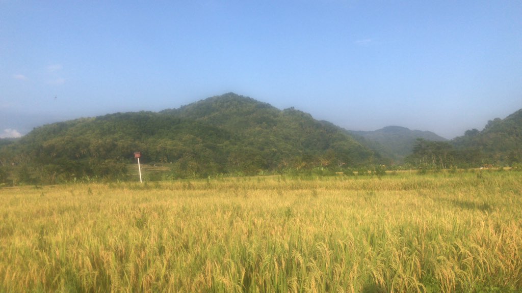 sukasejarah_kp's tweet photo. Pagi ini melihat kawasan Kedungturi, Klegung myg dikenal oleh masy. Sbg tempat mandi P. Dipanegara. Jika plg lama ia bersinggah slm perang Jawa di Dekso, mk Kedung Turi spt tempat harian utk mandi ‘sang Pangeran’ #dekso #banjararum #kulonprogo #diponegoro #pahlawan https://t.co/jyeYtRNVx5