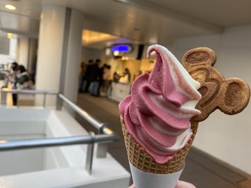 ラッキープラス春のもぐもぐキャンペーンを体験しましたよ ディズニー ディズニーシー マニア