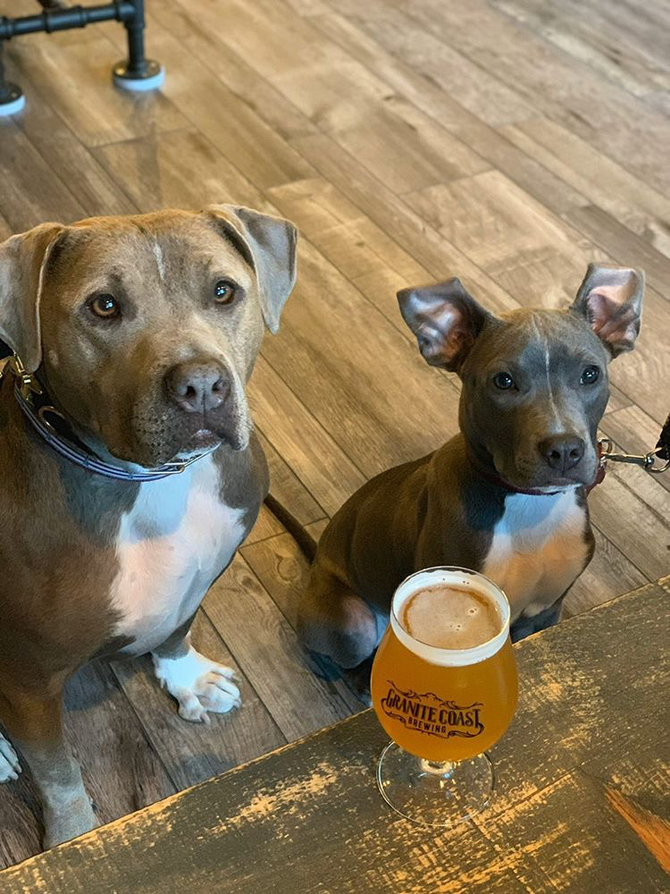 MassBrewBros's tweet photo. These #Massachusetts Taprooms That Let You Bring Your #Dog Inside: https://t.co/Zab0EEfIWM
@dog_rates @dogs @DogFriendlyTrav #craftbeer #dogfriendly https://t.co/G95TAzTsz8