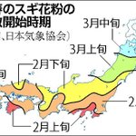 いよいよシーズン到来!日本気象協会がスギ花粉が飛散する時期を発表する!