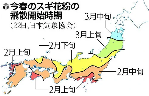 いよいよシーズン到来！日本気象協会がスギ花粉が飛散する時期を発表する！