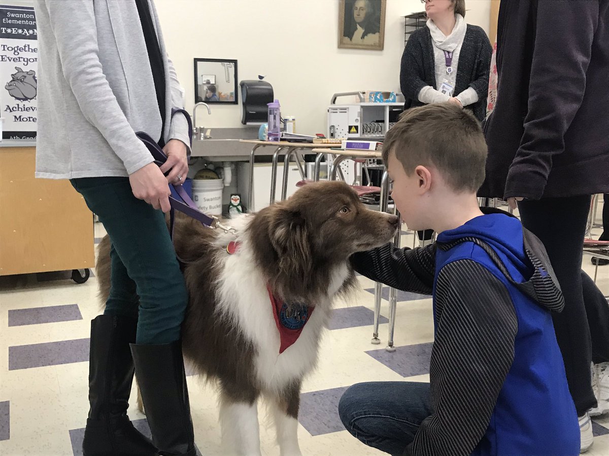 ChrisE0129's tweet photo. Welcome to SES Charlie! Thank you Mrs. Schmidt for sharing him with everyone at school. He is loved already! #therapydog #CharlieSchmidt https://t.co/hRVwR94RaB