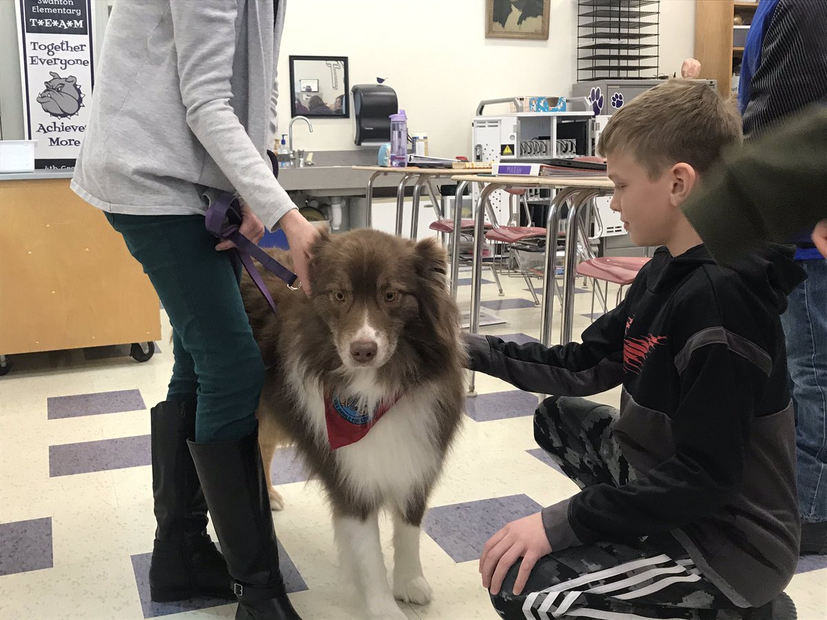 ChrisE0129's tweet photo. Welcome to SES Charlie! Thank you Mrs. Schmidt for sharing him with everyone at school. He is loved already! #therapydog #CharlieSchmidt https://t.co/hRVwR94RaB