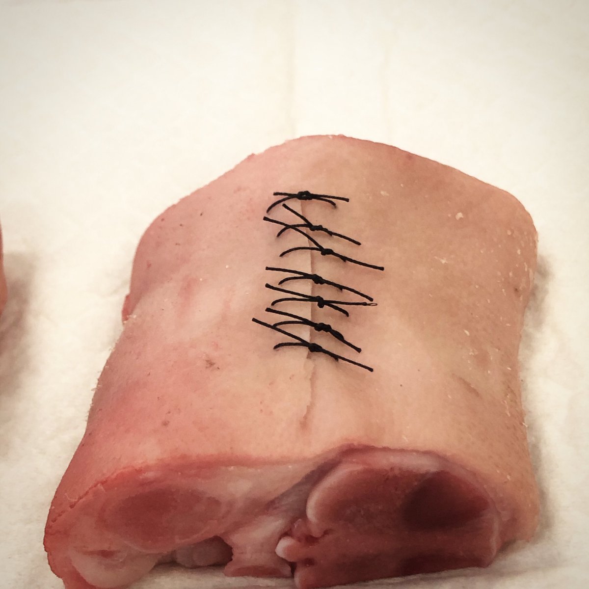 thomasabruder's tweet photo. Learning new things. Practice required. #CCP #CriticalCareParamedic @BC_EHS @critcare_medics #firststitches https://t.co/hE74IeLWD4