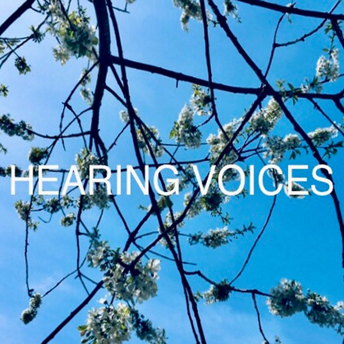 the_Wendys's tweet image. Jonathan’s debut solo single as @SocialLeopards online now! ✨👌🏻🖤 #nowplaying #NP #spotify #NewMusic #lounge #darkwave #dreampop #shoegaze open.spotify.com/album/3SHgR6cx… #edinburgh #westlothian #armadale