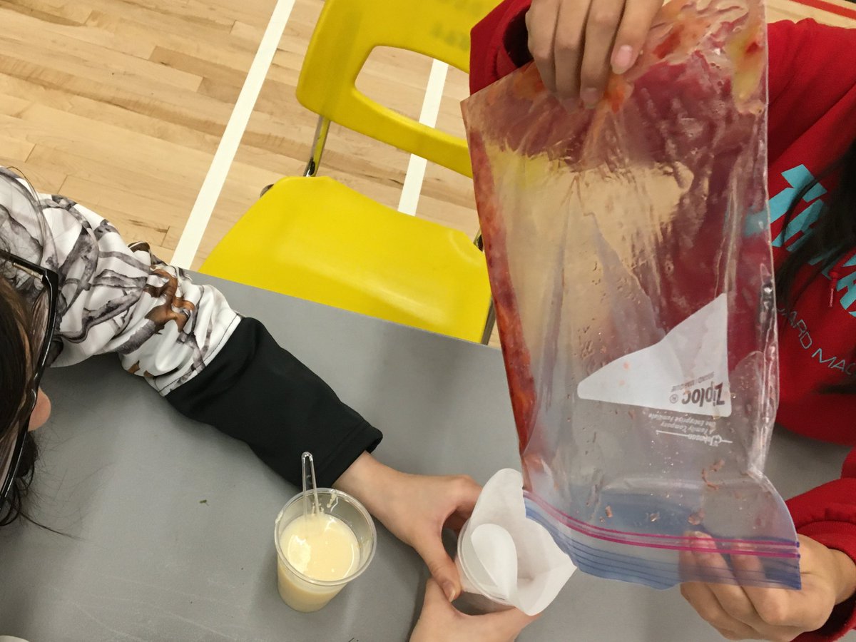 mme_isabelle's tweet image. Big #IBMSTEM4Girls event today with 110 #NLPSlearns and #SD69 grade 6 and 7 girls! Lots of teamwork from DNA fruit extraction and liquid experiments to #DesignThinking and problem solving. Thanks to @KristaShibata and Laura Tranter!