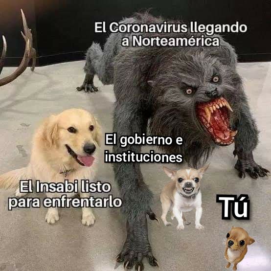 JAQCUBER's tweet photo. @DafneHDSM 😆 https://t.co/uOkvqjsst1