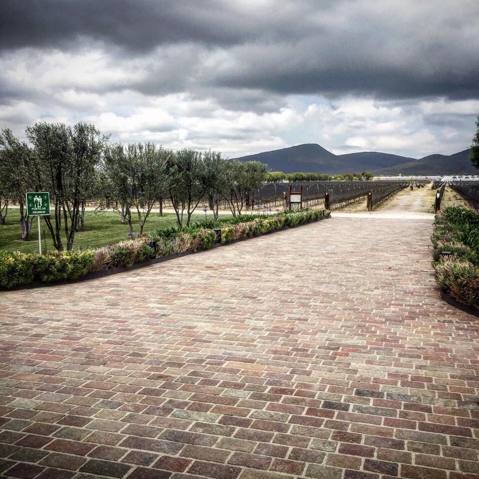 Ideas para escapadas cerquita de CDMX. andariegaprofesional.com/escapadas-cerq…