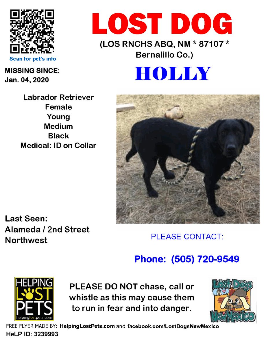 🛑🛑 #LOSTDOG #Holly #LOSRNCHSABQ (Alameda / 2nd Street Northwest) #NM 87107 #Bernalillo Co. , #Lost #Dog 01-04-2020!, Medium / Young / Female / #LabradorRetriever / Black facebook.com/LostDogsNewMex…